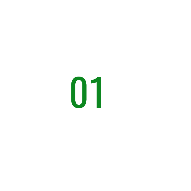 מספר 1-01