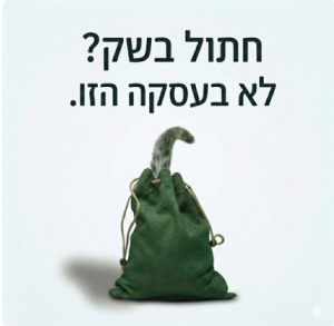 בדיקת נאותות