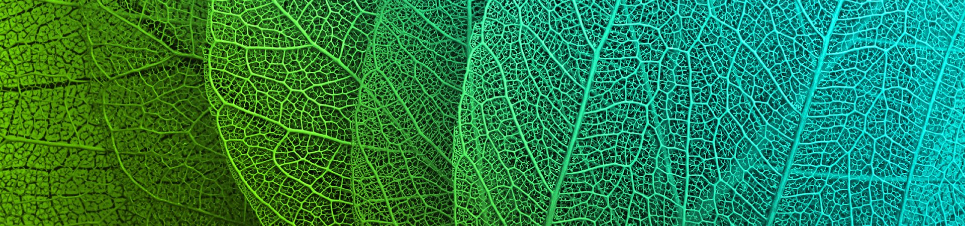 תמונה ראשית ייעוץ אסטרטגי-01