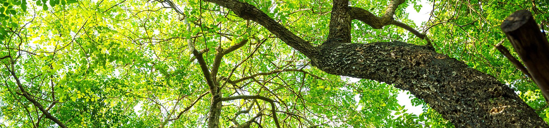 תמונה ראשית צוות-01
